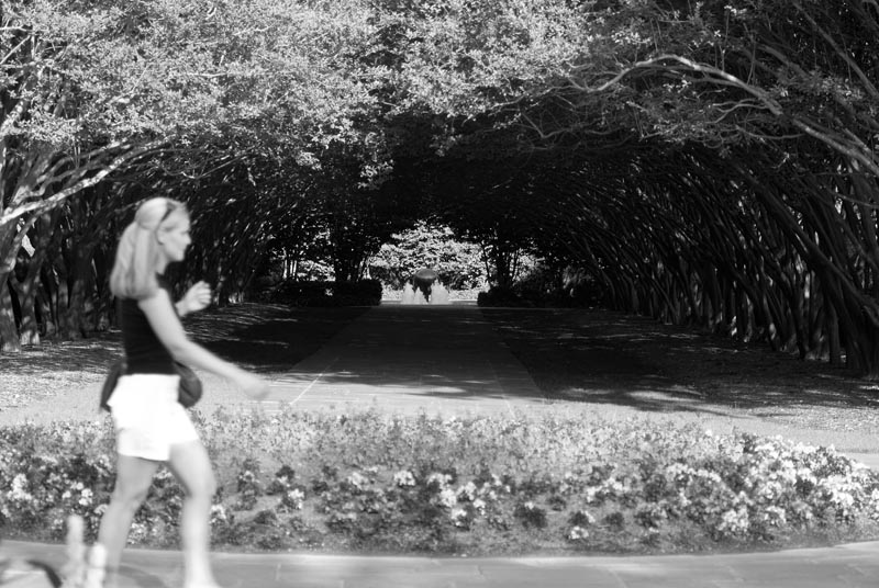 In Passing