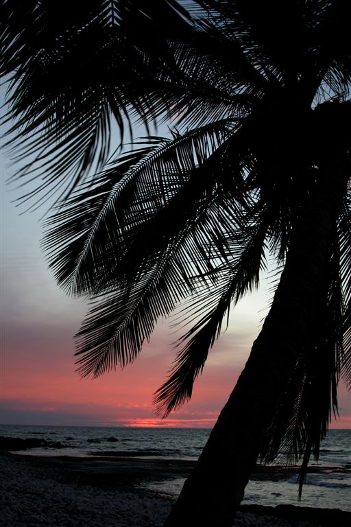 Kona Coast