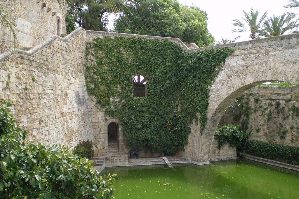 IMGP0770.JPG