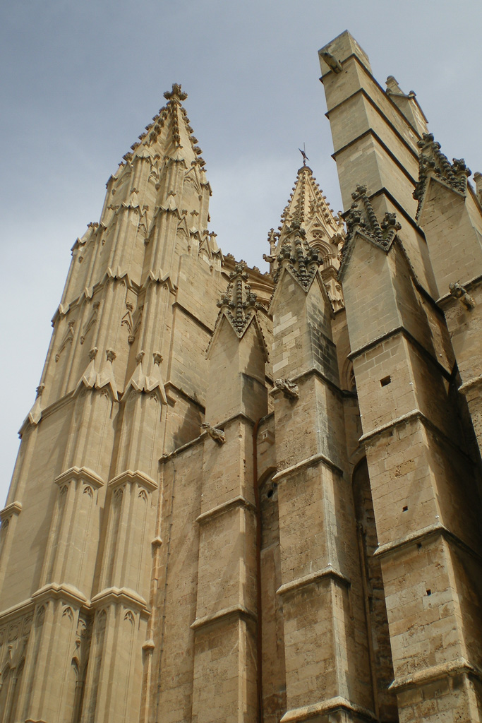 IMGP0773.JPG