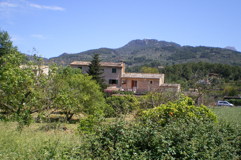 IMGP0798.JPG