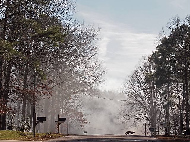 the other end of our street