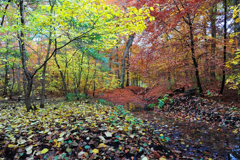 Bernstorff Park