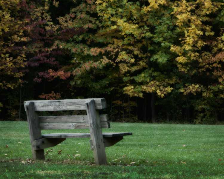 bench 6