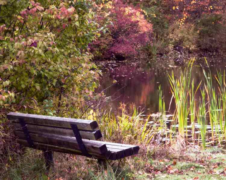 Bench 7