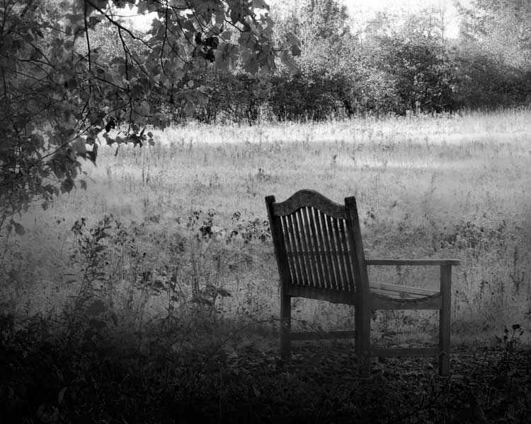 Bench in black and white