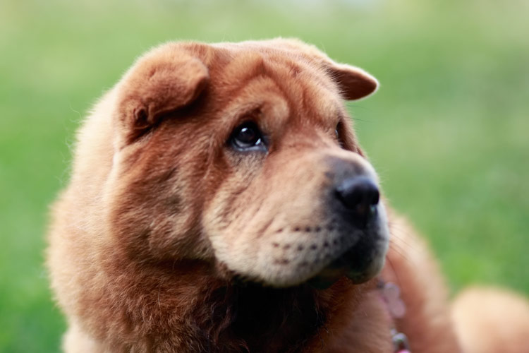 Awww....