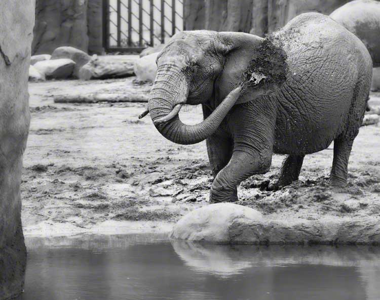 Time to Cool Off