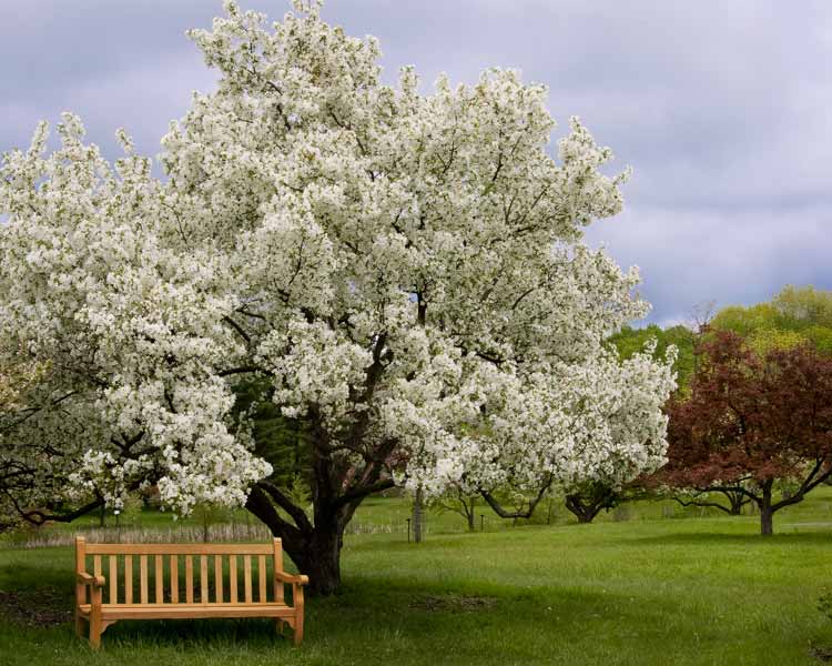 bench 5