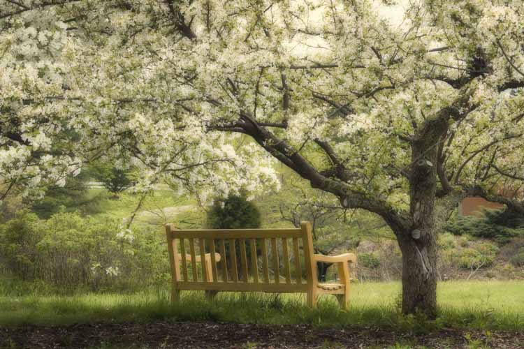 bench 4
