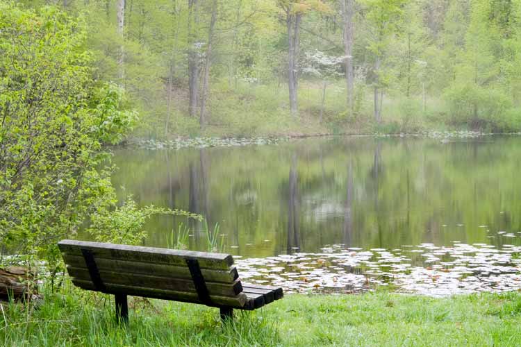 bench 3
