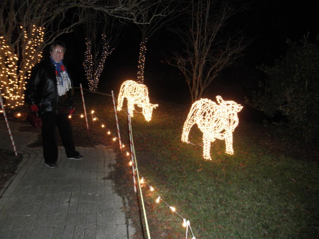 Bernice looking at overfed deer !