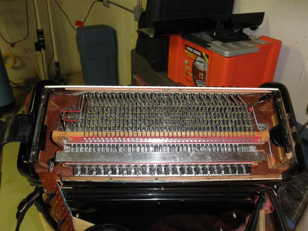 Rolfs new accordio