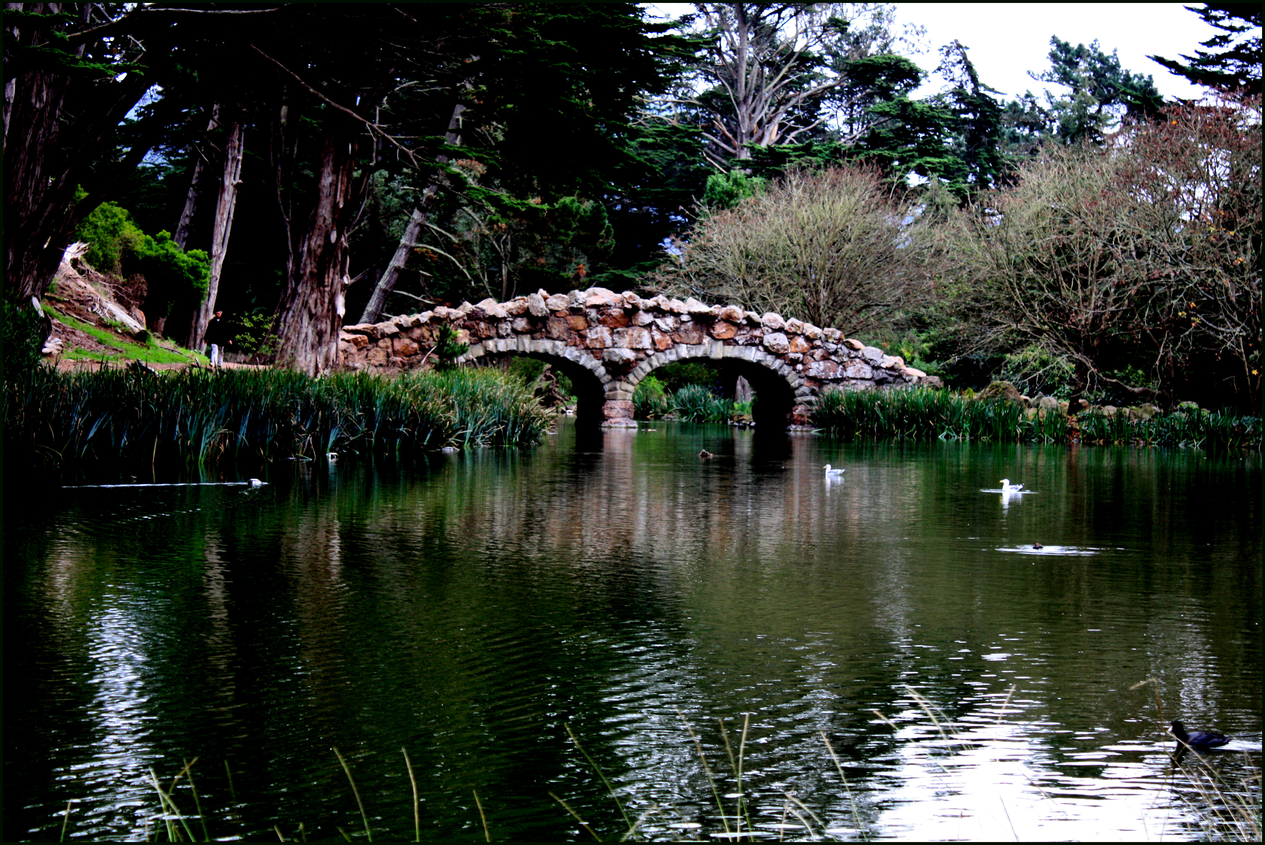 Stow Lake on an overcast day