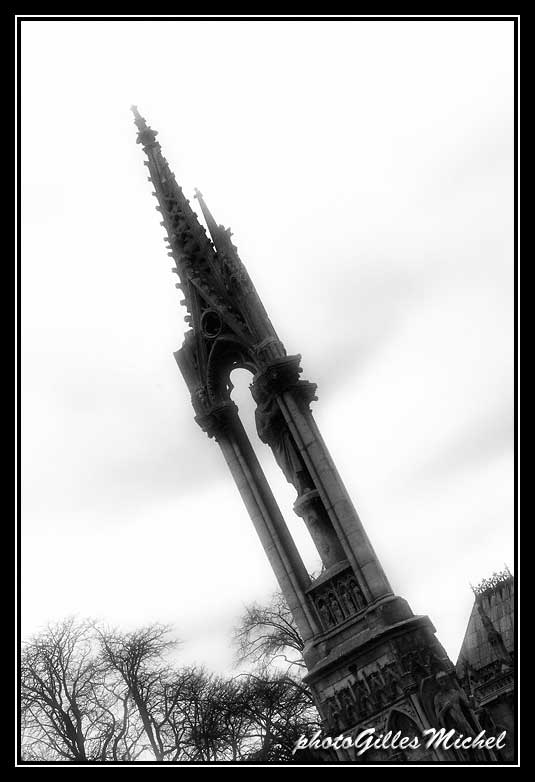 Parisiles110.jpg