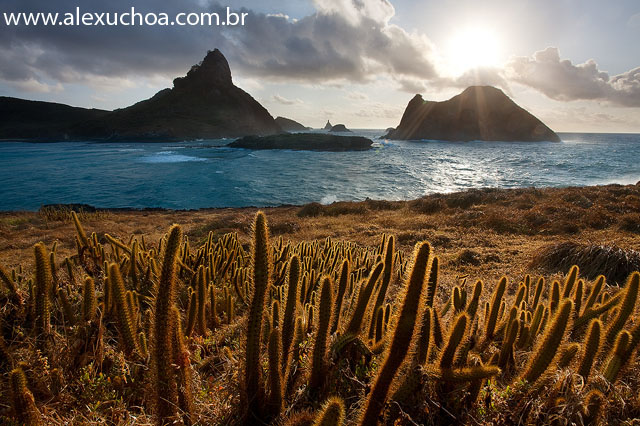 Praia do Sueste, Fernando de Noronha, Pernambuco 8169 090914.jpg