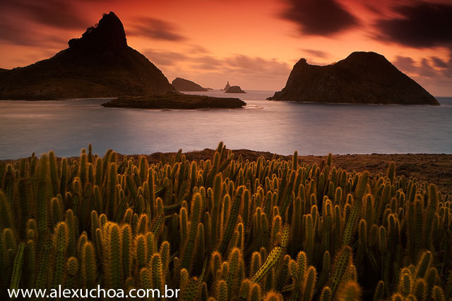 Praia do Sueste, Fernando de Noronha, Pernambuco 8919 090916.jpg
