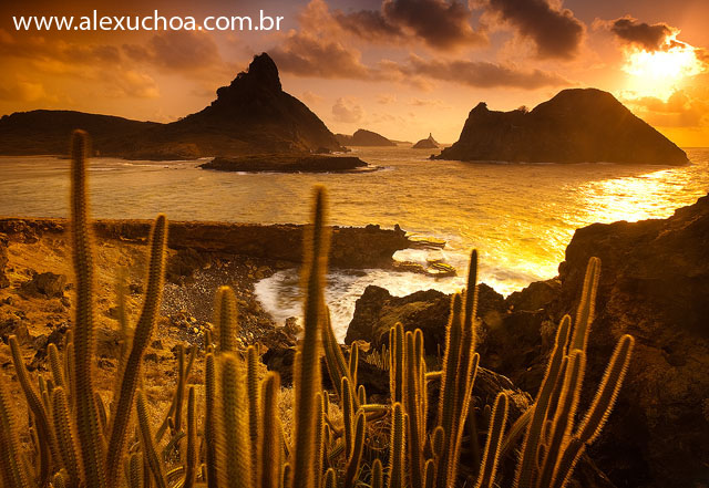 Praia do Sueste, Fernando de Noronha, Pernambuco 8947 090916.jpg