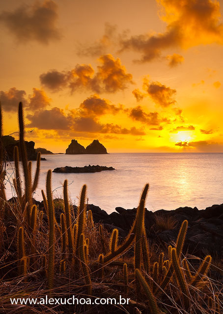 Praia do Boldro, Fernando de Noronha, Pernambuco 7878 090912.jpg