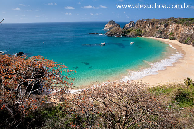Praia do Sancho, Fernando de Noronha, Pernambuco 8314 090914.jpg