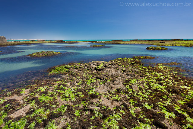 Praia da Pedra Rachada, Paracuru, Ceara, 9691.jpg