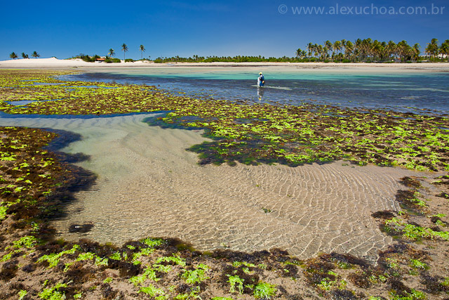Praia da Pedra Rachada, Paracuru, Ceara, 9711.jpg