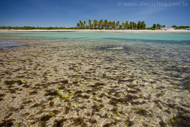 Praia da Pedra Rachada, Paracuru, Ceara, 9798.jpg