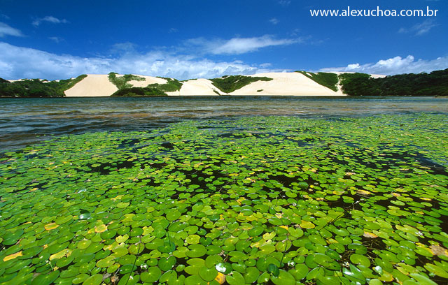Lagoa Genipabu