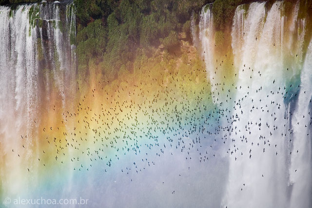 Cataratas do Iguau, Foz do Iguacu, PR 9711