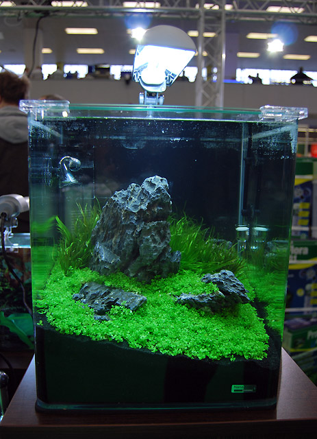 Nano Dennerle 30 Liter - Nr.1
