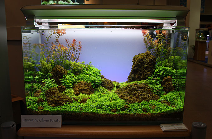 NatureSoil Promotion from and with Oliver Knott at the Anubias Stand - Zoomark 2009