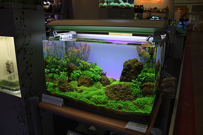 NatureSoil Promotion from and with Oliver Knott at the Anubias Stand - Zoomark 2009