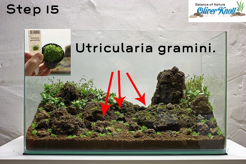 NatureSoil Step by Step Layout Nr.3 by Oliver Knott - Step 15