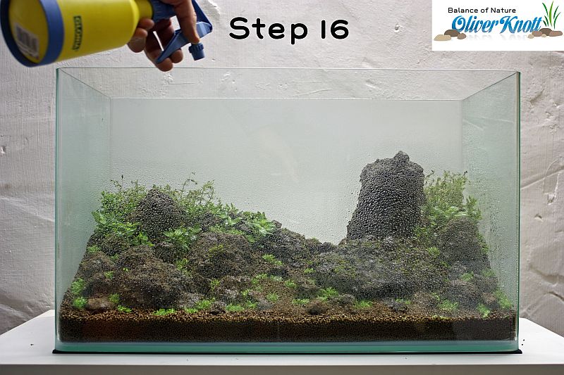 NatureSoil Step by Step Layout Nr.3 by Oliver Knott - Step 16