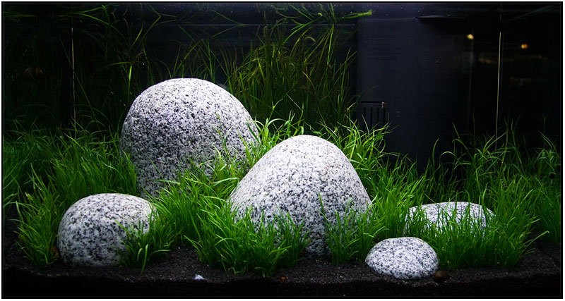 Tetra AquaArt 60 Liter