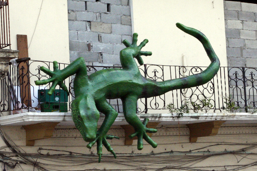 _MG_4707.JPG