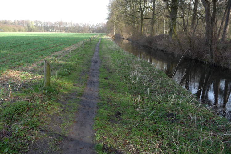 P1020560_bewerkt-1.JPG