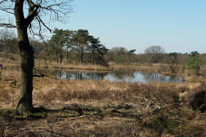 P1020739_bewerkt-1.JPG