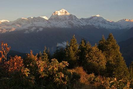 _MG_4312tato-gorepani-poon hill crop.jpg