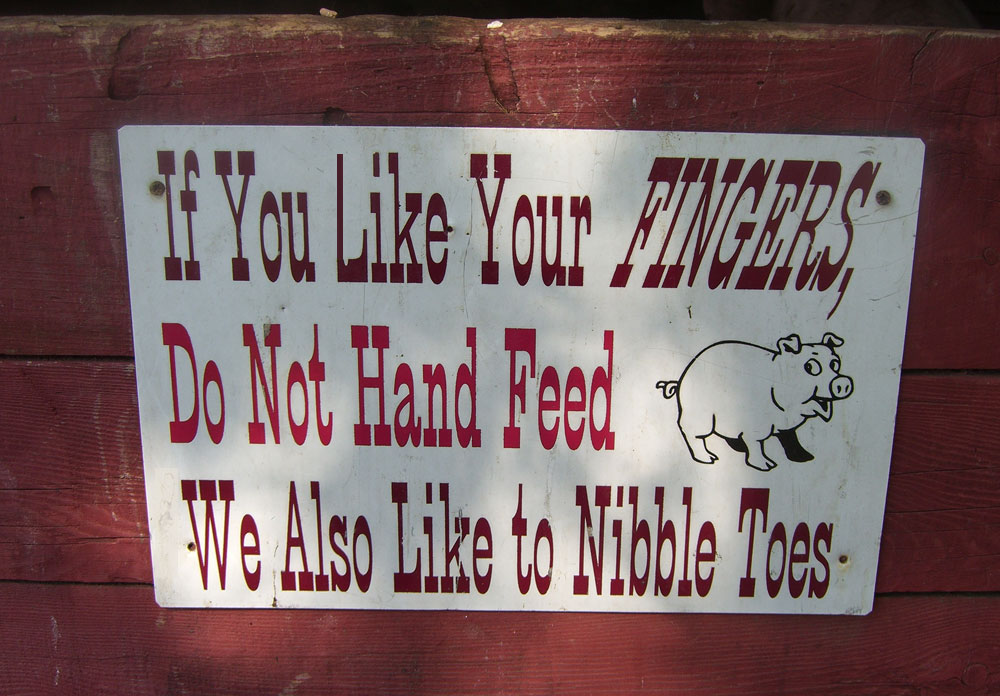simsbury_farm_sign.jpg