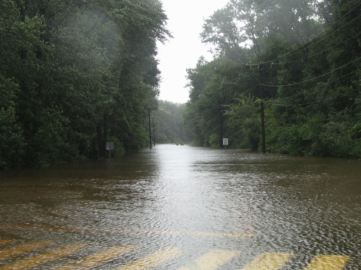 tunxisFlood_deer.jpg
