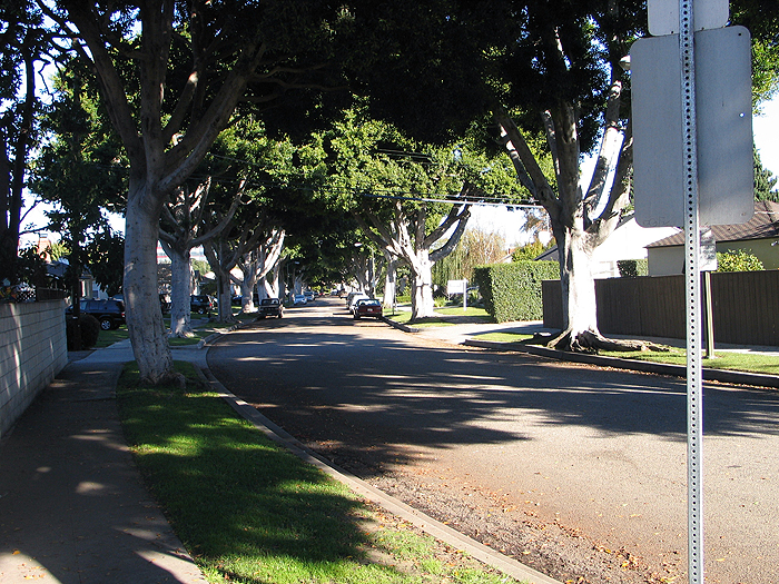 esther_avenue.jpg