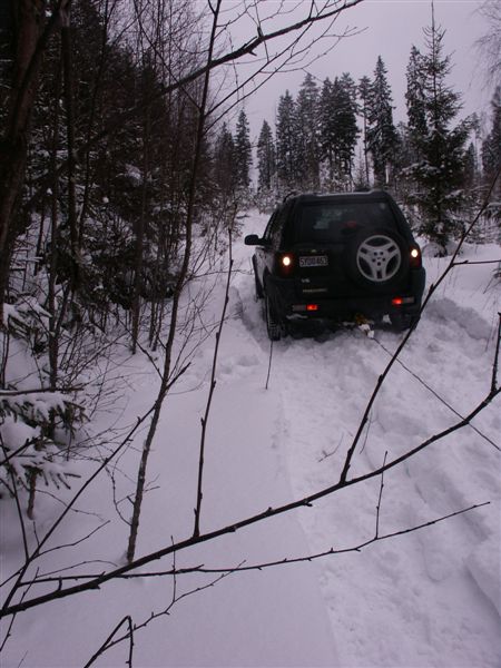 Vincha Freelander ur snJPG