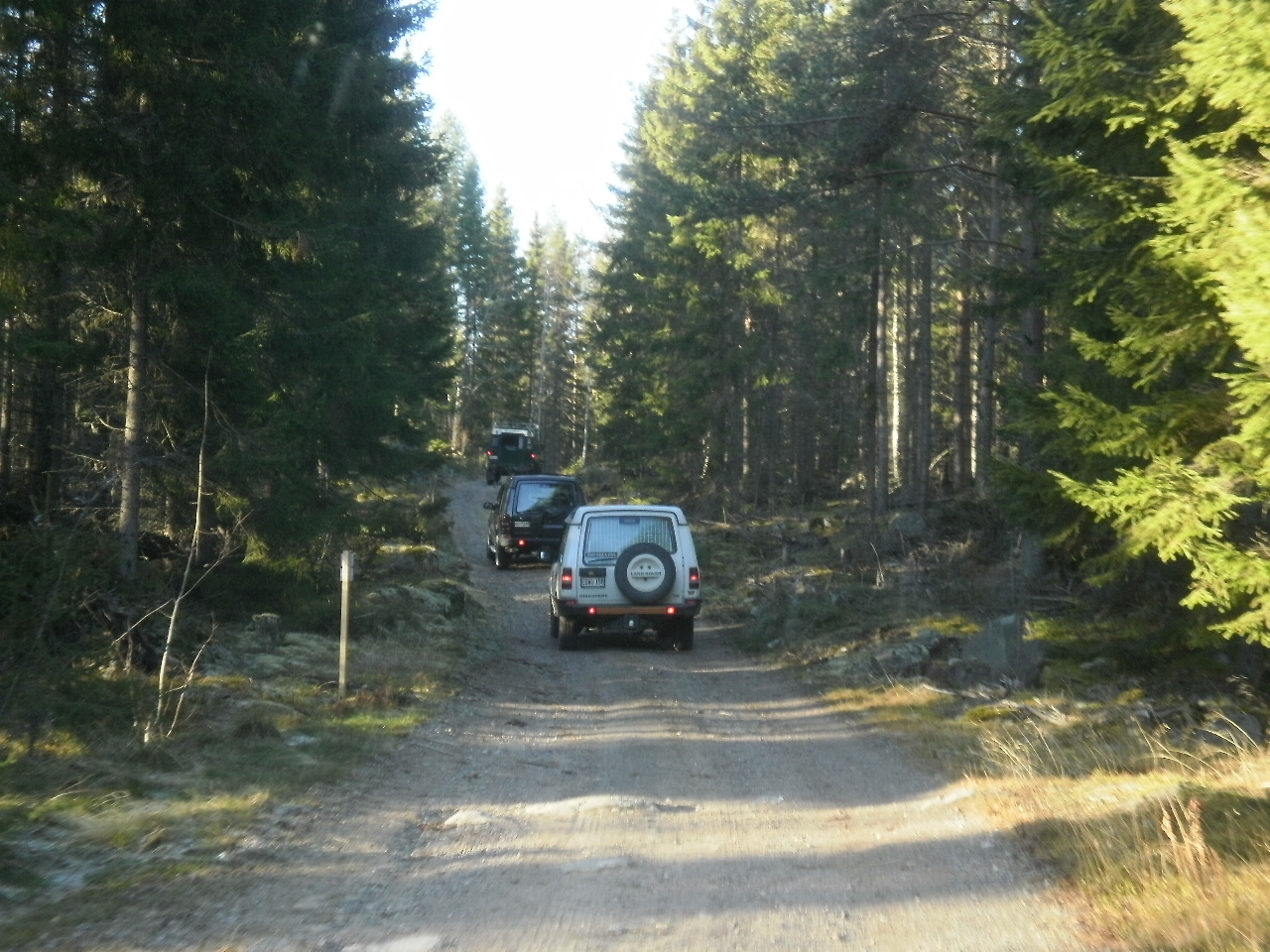 P1010069.JPG