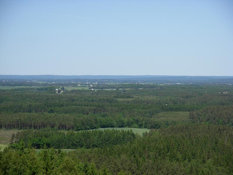 DSCN0981.JPG