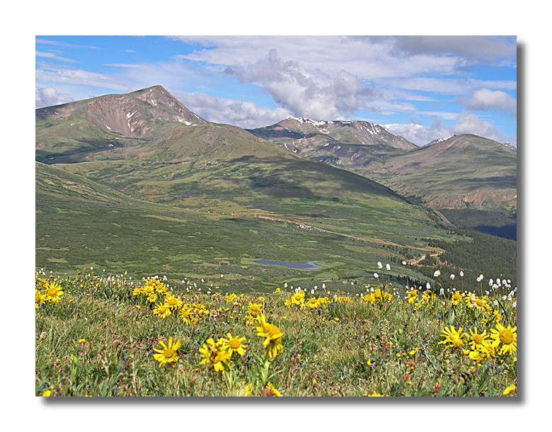 Above Guanella Pass