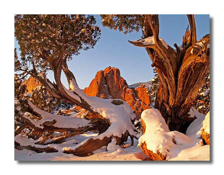 Garden of the Gods in Winter