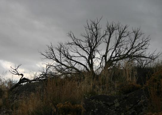 Standing tall--even though it isnt!