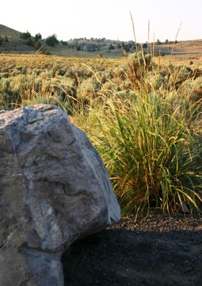 From the Buchanan Rest Area