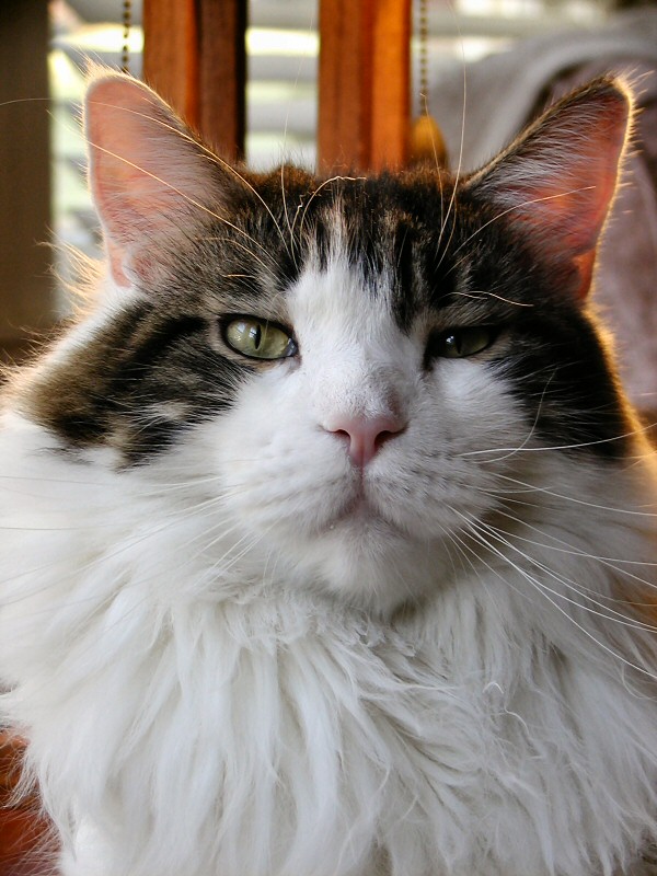 Youre playing with a camera again